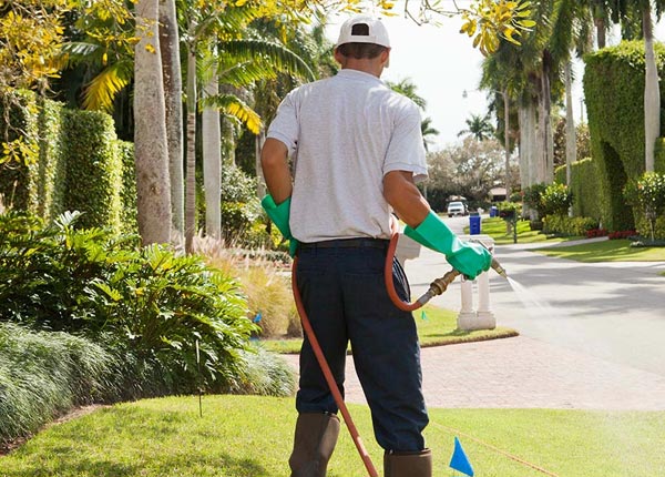 About Sargeant MN Pest Control